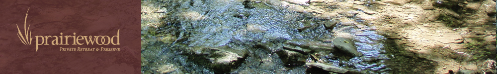 Events and Activities
