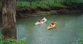 Canoes on Wildcat Crk