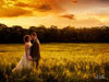 Sunset Wedding