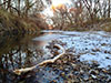 Canoeing on Wildcat Creek