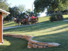 Horse Drawn Bridal Party