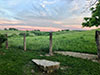 Tallgrass Prairie in Winter