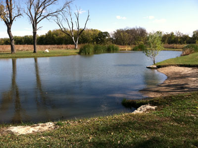 Walnut Pond View