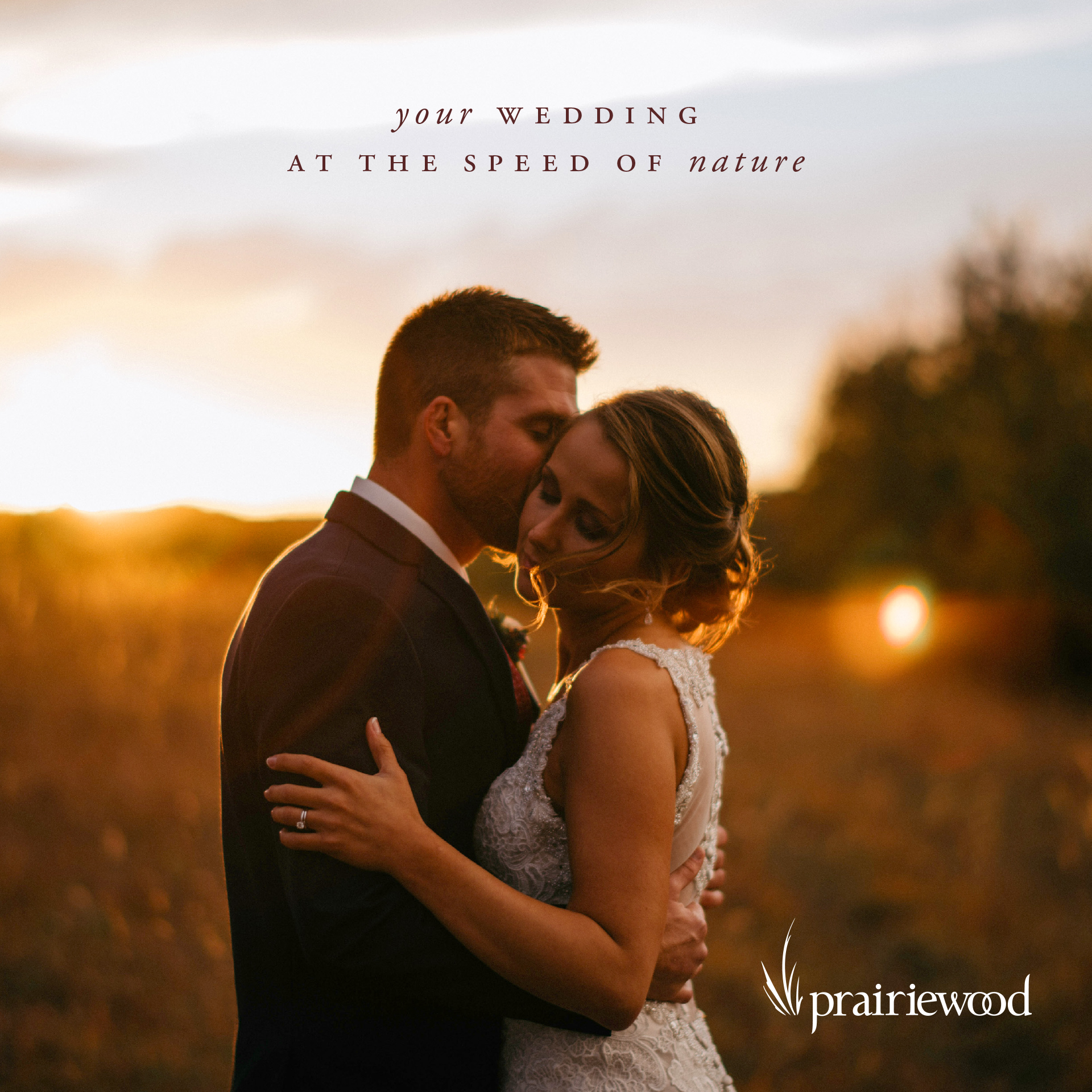 Prairiewood Wedding Guide
