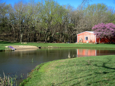 pond fishing